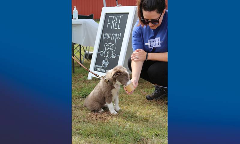 Day Kimball Healthcare’s Canines for Cancer Care Raises over $10,000