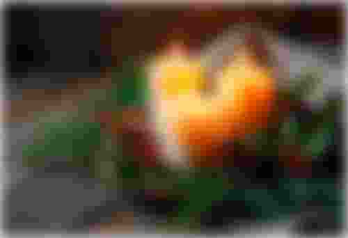 Coping with Holiday Grief